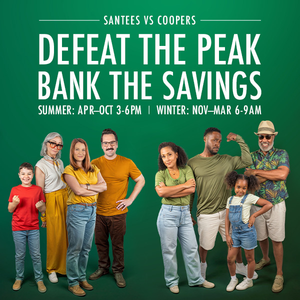 families preparing to save energy and defeat the peak