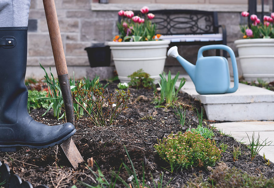 Spring Electrical Safety